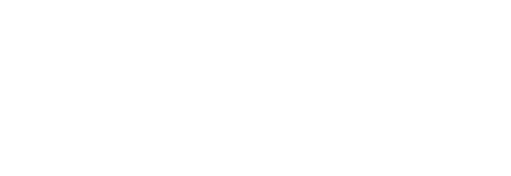AY Strategy - Winning Intelligence